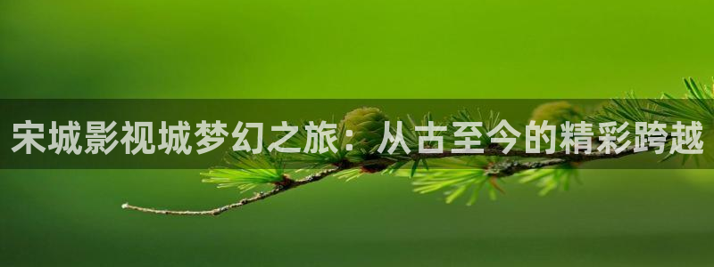 蓝莓视频h