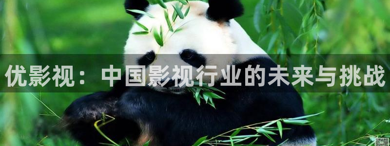 蓝莓高清视频