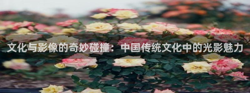 蓝莓的生长过程视频