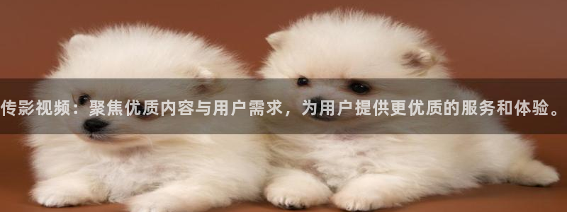 蓝莓视频电影